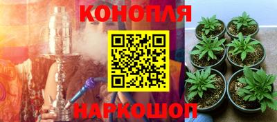 крисы Рыбинск