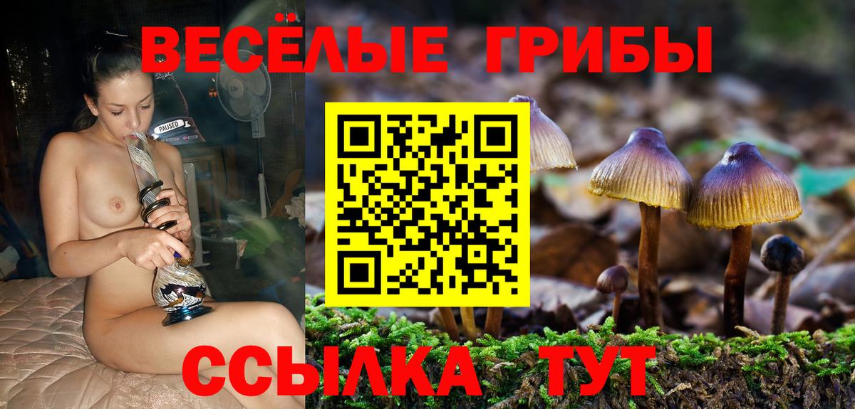 Псилоцибиновые грибы MAGIC MUSHROOMS  Вход с VPN  Севастополь  Псилоцибиновые грибы GOLDEN TEACHER 